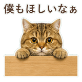 852706350