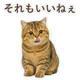 852706353