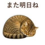 852706356