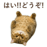 852706357