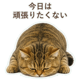 852706358
