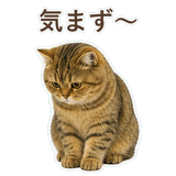 852706360