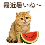 852706366