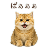852706370