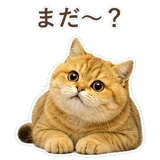852706372