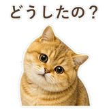852706374