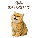 852706377