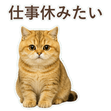 852706378