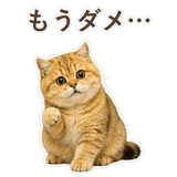 852706380