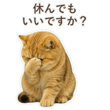 852706381