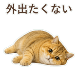 852706383