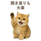 852706384