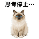 852706442