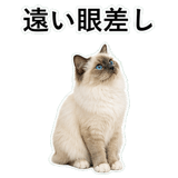 852706444