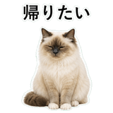 852706465
