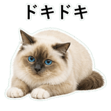 852706474