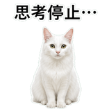 852706570