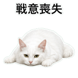 852706571