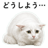 852706575