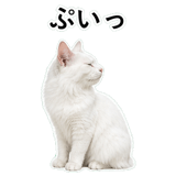 852706576