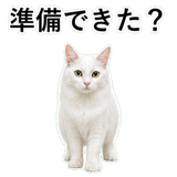 852706580