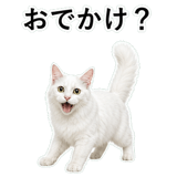 852706581