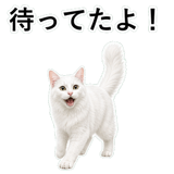 852706592