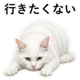 852706594