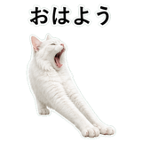 852706596