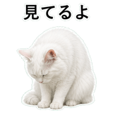 852706604