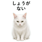 852706605