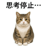 852706690