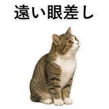 852706692
