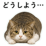 852706695