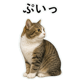 852706696