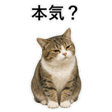 852706697