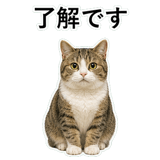 852706698