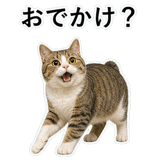 852706701