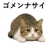 852706702