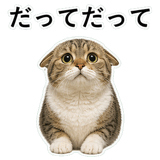 852706703