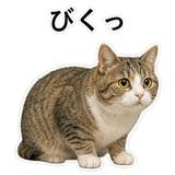 852706708