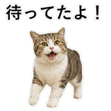 852706712