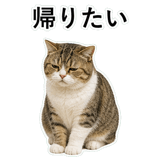 852706713