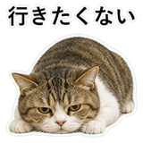 852706714