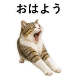 852706716