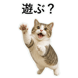 852706721