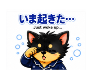 852707778