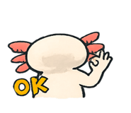 852709456
