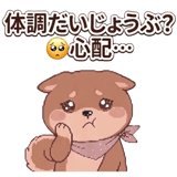 852709584