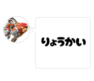 852710104